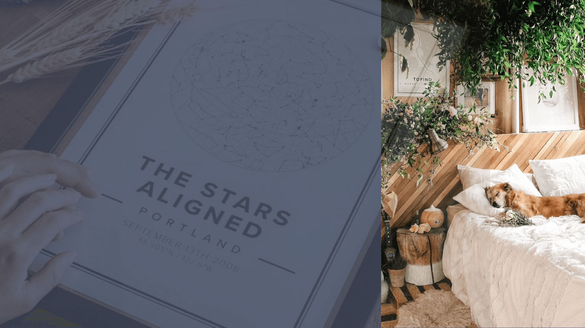 A star chart with the text "The stars aligned portland" in the foreground and a cozy corner with a bed, plants, and a sleeping dog in the background.